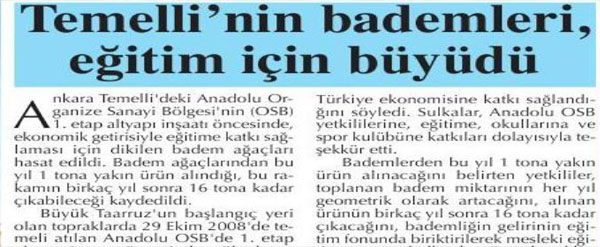 Badem Toplama